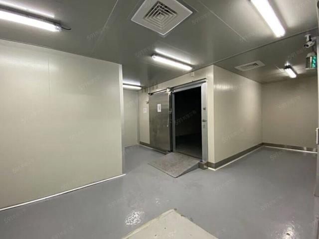 桃園大園廠房-1