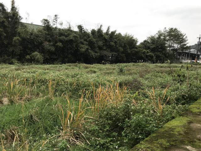 龜山農地-3