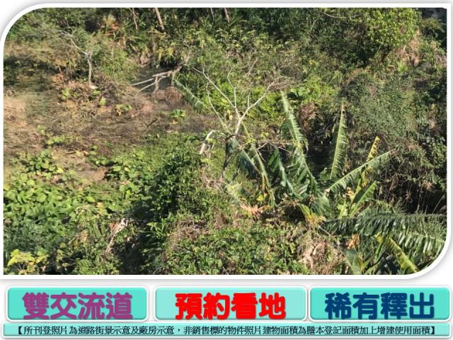 新北樹林工業地-1