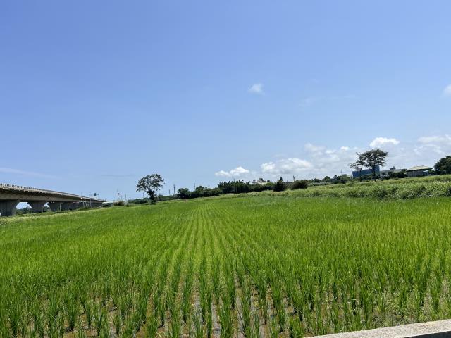 新屋農地-1