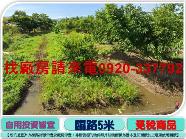 桃園八德農地-0
