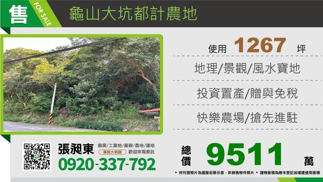 桃園農地-0