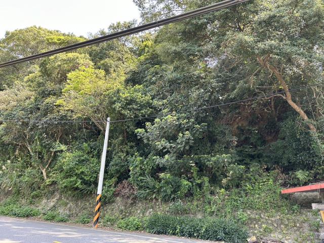 桃園農地-1