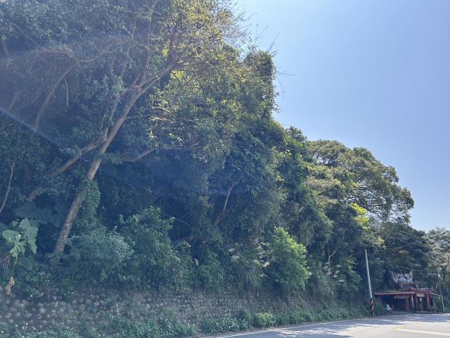 桃園農地-2