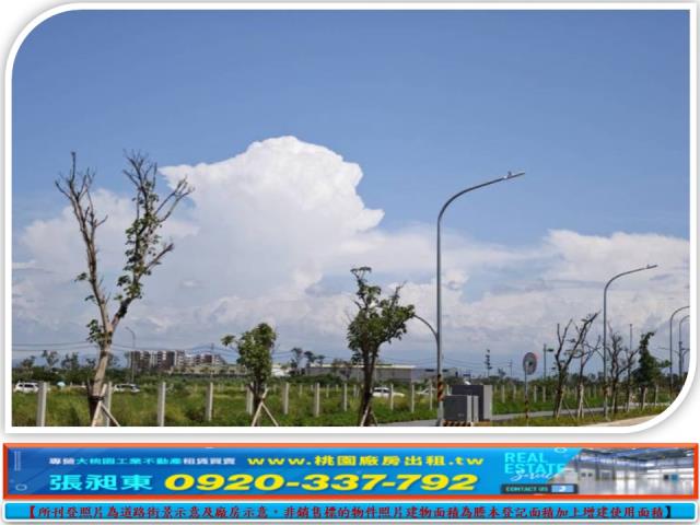 桃園大園建地-0