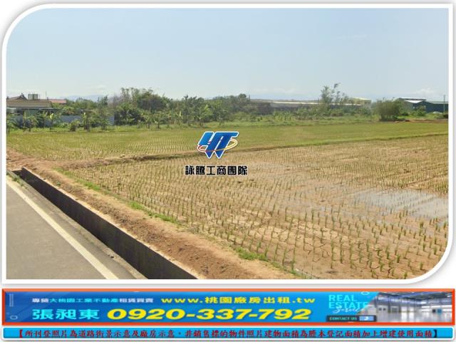 桃園農地-1